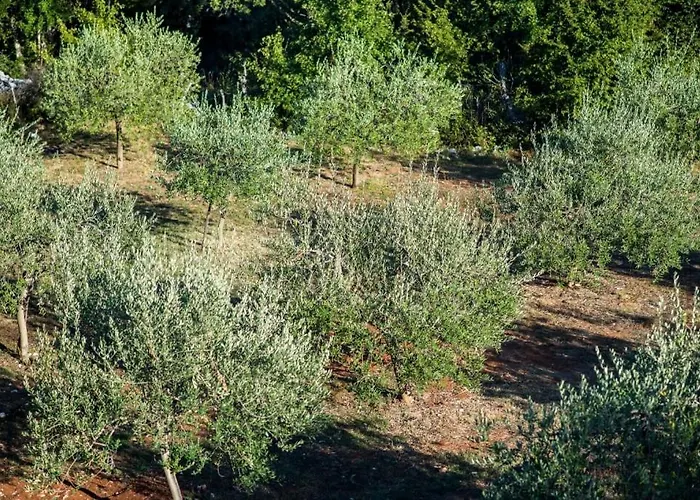 House 4770-1 For 8 Pers. In Nyaraló Vrbnik